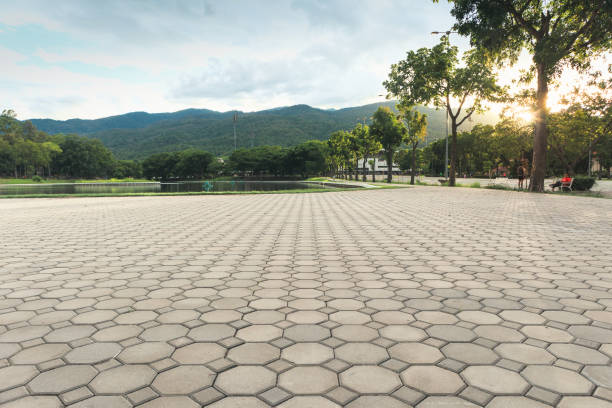 Best Permeable Paver Driveway  in Pacifi, CA